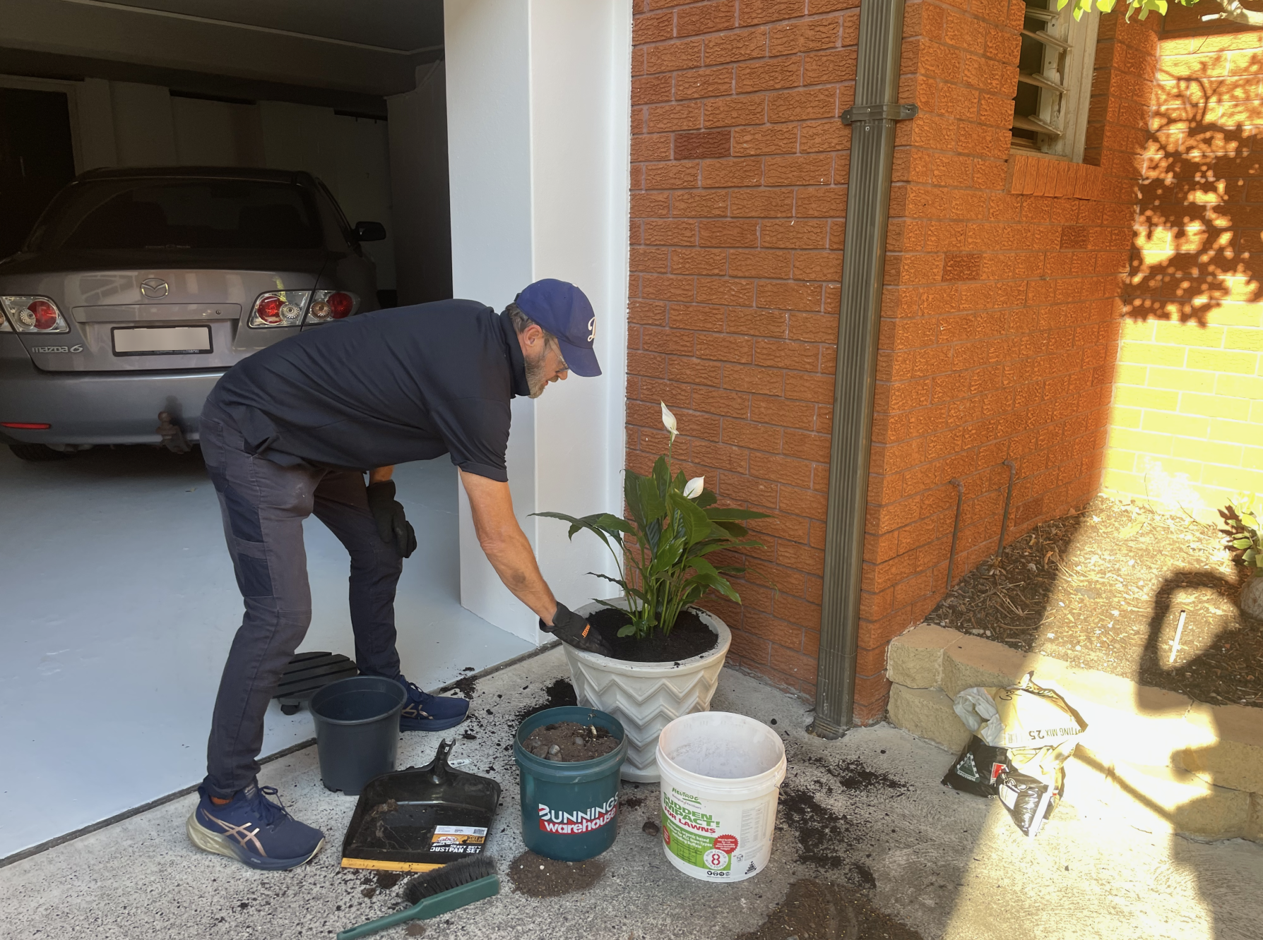 Gardener pruning hedges