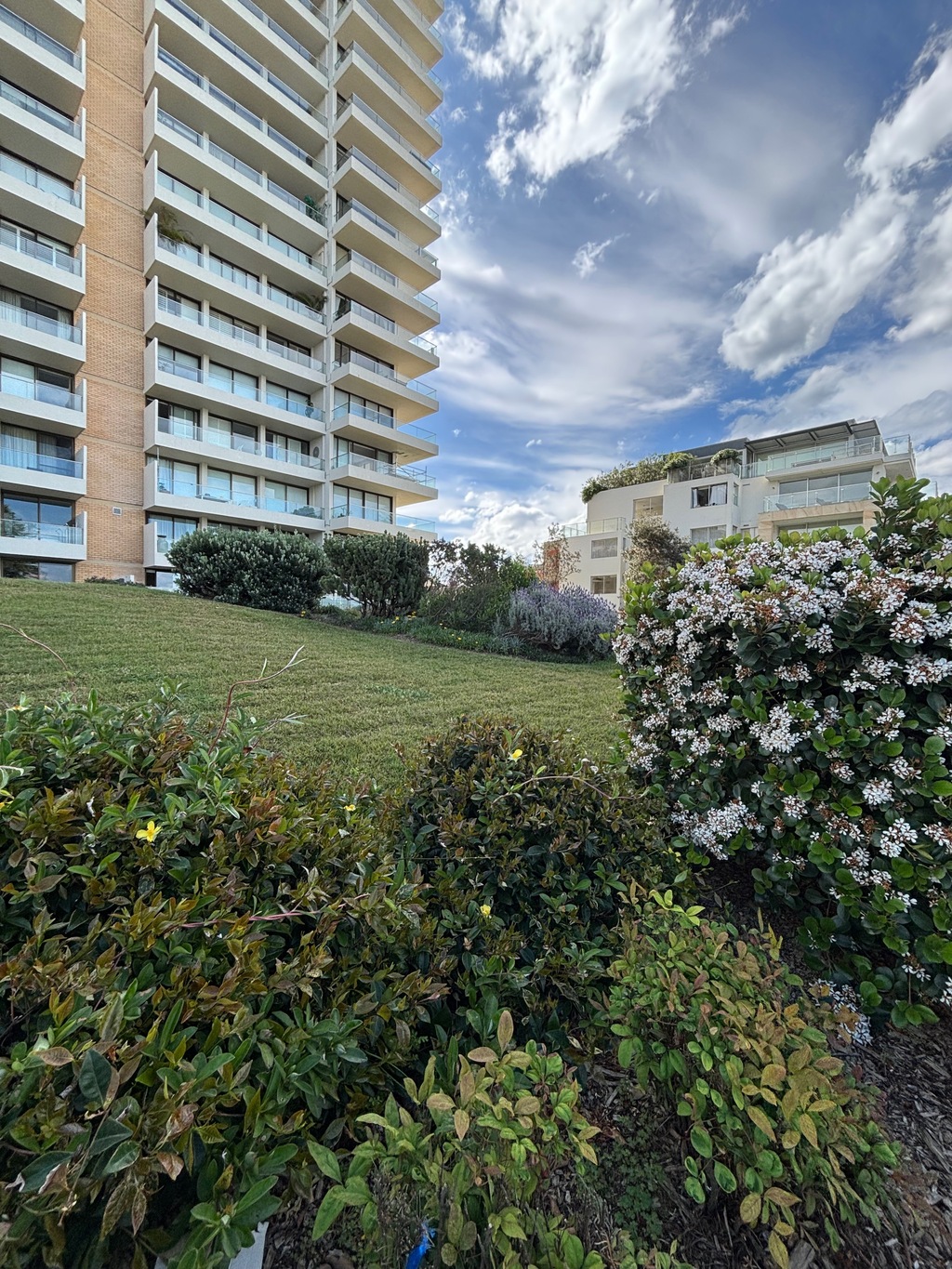 Gardener working in a landscaped courtyard